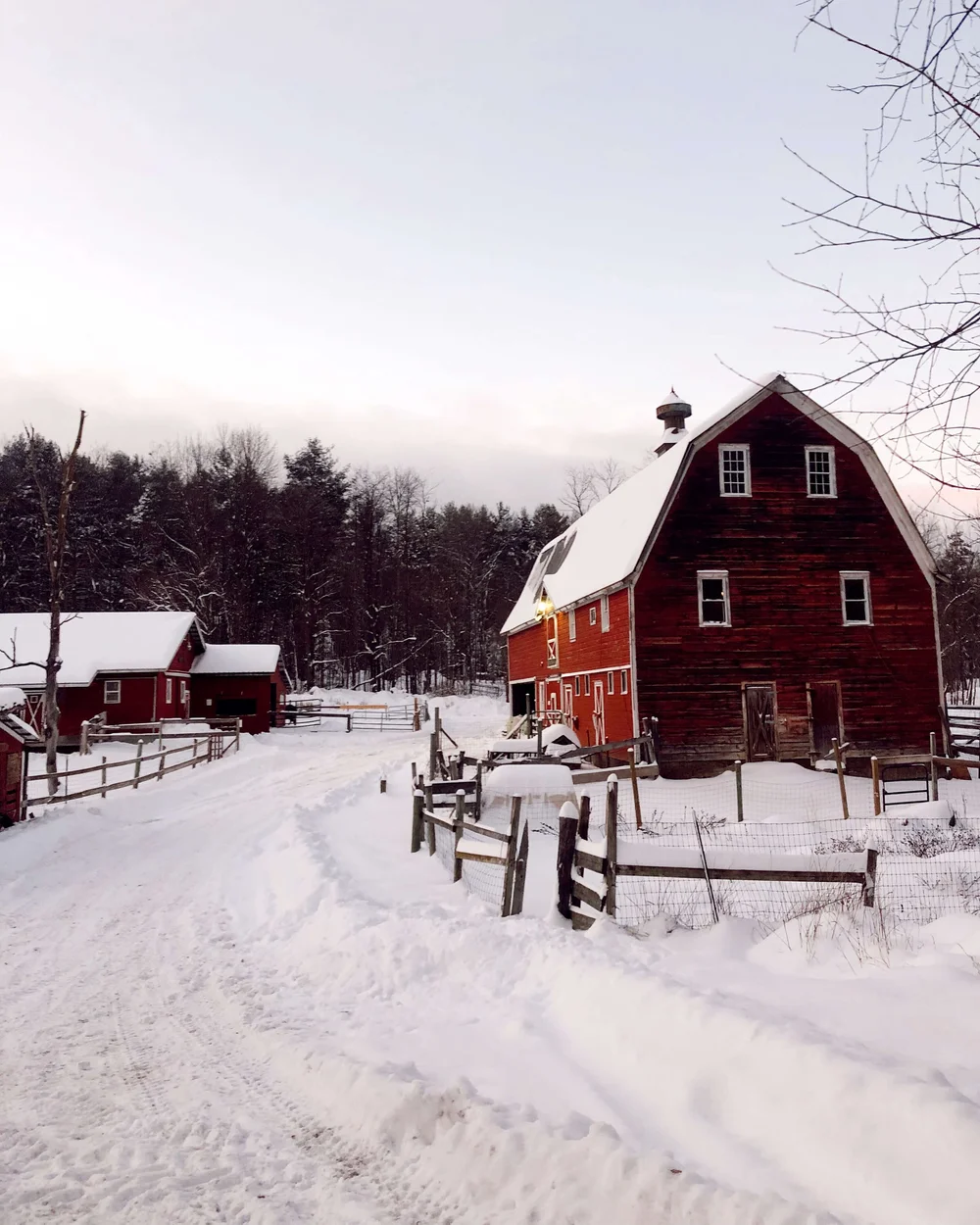 Nettle Meadow Farm in winter